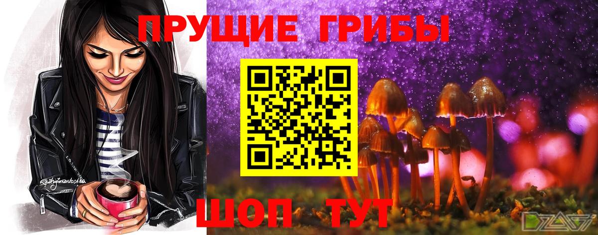 Галлюциногенные грибы Psilocybine cubensis  Вход с VPN  Десногорск  Псилоцибиновые грибы ЛСД 